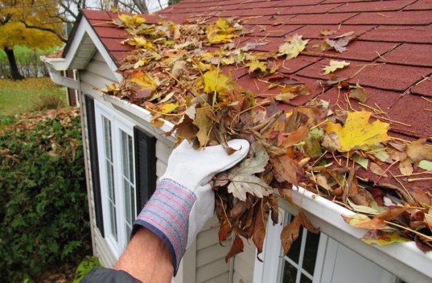 clean-gutters How to Clean Your Gutters