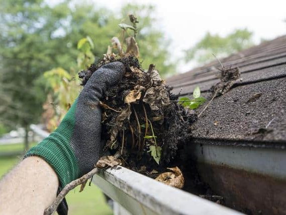 10 Vital Home Maintenance Tasks To Complete Before Summer