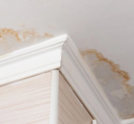 image (11)
